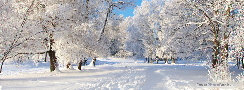 winter cover photos for facebook