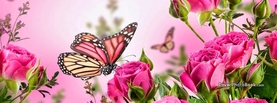Butterfly Pink Flowers Spring, Free Facebook Timeline Profile Cover, Animals