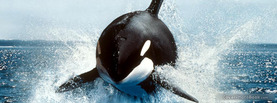 Cool Orca Breaching, Free Facebook Timeline Profile Cover, Animals