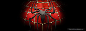 Spiderman, Free Facebook Timeline Profile Cover, Brands