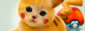 Real Pikachu Pokemon Cat, Free Facebook Timeline Profile Cover, Characters