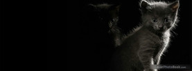 Cats In Dark Shadow, Free Facebook Timeline Profile Cover, Emotions