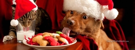 Christmas Cat and Dog, Free Facebook Timeline Profile Cover, Holidays