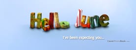 Hello June - I've been Expecting you, Free Facebook Timeline Profile Cover, Holidays