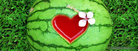Watermelon Love, Free Facebook Timeline Profile Cover, Love