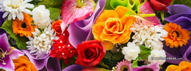 Beautiful Rainbow Variety Flowers, Free Facebook Timeline Profile Cover, Nature