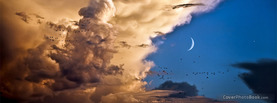 Birds in the Sky Moon, Free Facebook Timeline Profile Cover, Nature