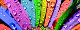 Colorful Rainbow Flower Petals, Free Facebook Timeline Profile Cover, Nature