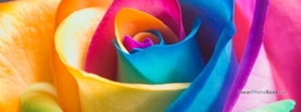 Rainbow Flower Petal, Free Facebook Timeline Profile Cover, Nature