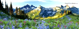 Spring Flowers Mountain Meadow, Free Facebook Timeline Profile Cover, Nature
