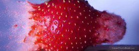 High Speed Bullet Strawberry, Free Facebook Timeline Profile Cover, Other Cool
