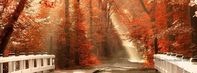 Sunlight Orange Leaves Forest Bridge, Free Facebook Timeline Profile Cover, Places